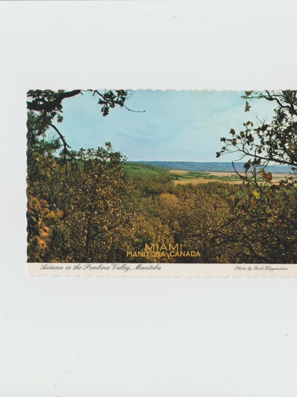 Autumn In The Pembina Valley, Manitoba Postcard